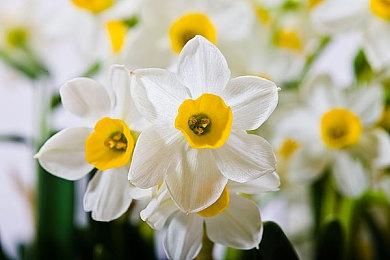 生活模拟游戏《inZOI》科隆实机预告 B测今日开启